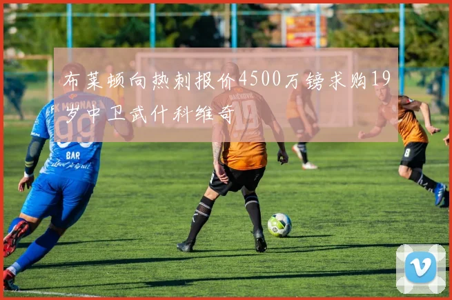 布莱顿向热刺报价4500万镑求购19岁中卫武什科维奇