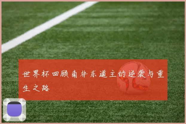 世界杯回顾南非东道主的逆袭与重生之路